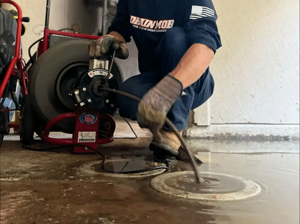 5 Signs Your Drains Need Professional Cleaning
