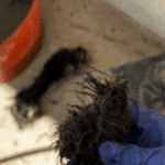 The Most Common Causes of Clogged Drains (and How to Prevent Them)